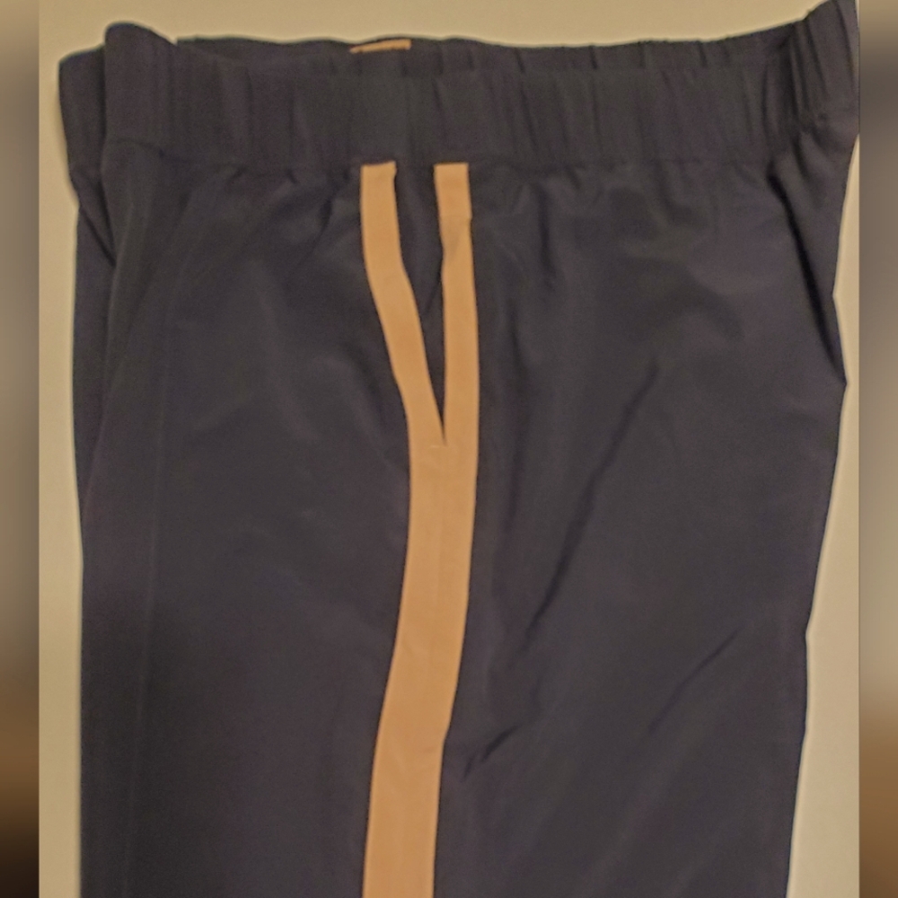 J Jill Fit Active pants